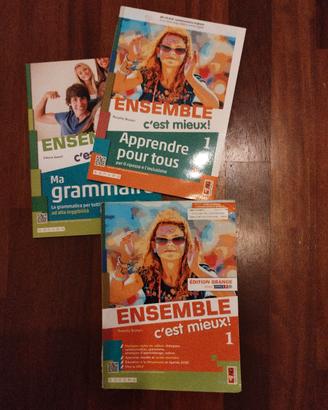 Libro scolastico Usato Francese 9788861619364