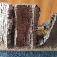 casetta presepe