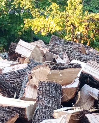 legna mista secca 