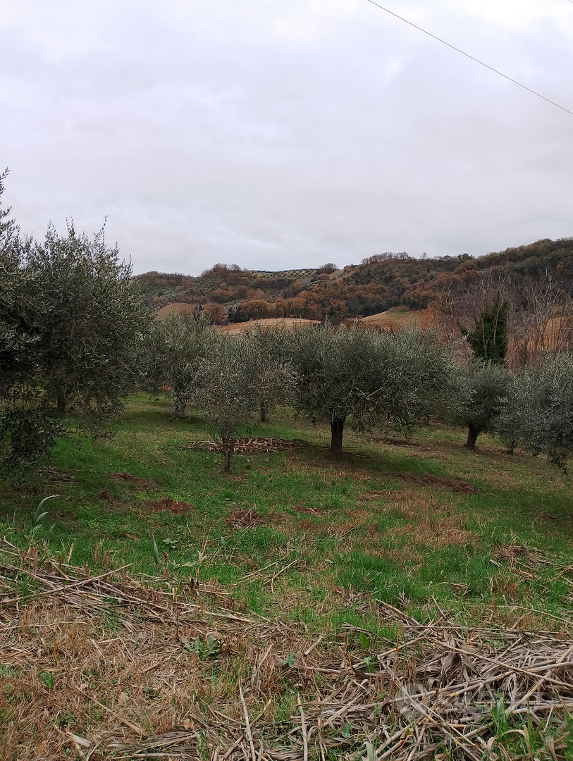 Terreno agricolo - Vista 3