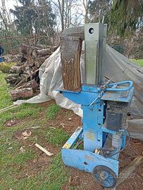 Spaccalegna elettrica