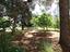 Immagine 26