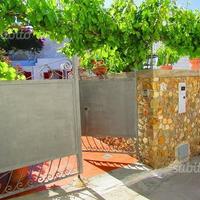 Ponza isola, "La Vite" a pochi metri dal porto