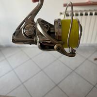 Airrus maestrale, kali kunnan murasaki