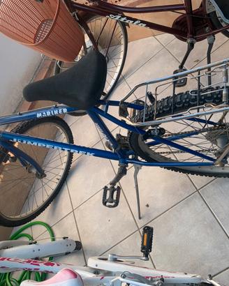 Bici da passeggio