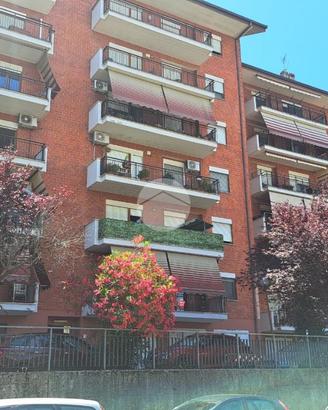 4 LOCALI A FROSINONE