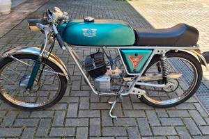 Negrini 50