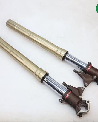 Steli forcella Marzocchi MV AGUSTA Brutale 910 EUR