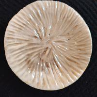 Piattino scultura Previtali