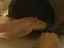 Immagine 3
