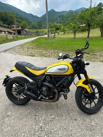 Ducati scrambler 800