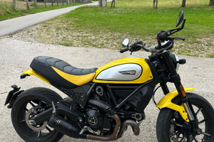 Ducati scrambler 800