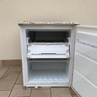Freezer Rex