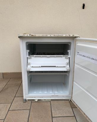 Freezer Rex