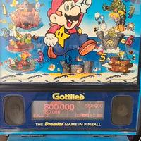 flipper Mario Bross