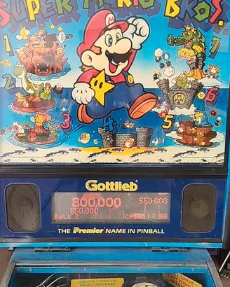 flipper Mario Bross
