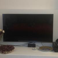 Pannello a parete per TV