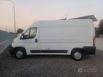 FIAT DUCATO FURGONE FRIGO FRCX 2020