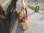Immagine 3