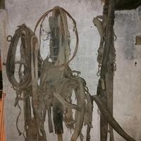 FINIMENTI VINTAGE PER CAVALLI