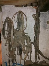 FINIMENTI VINTAGE PER CAVALLI