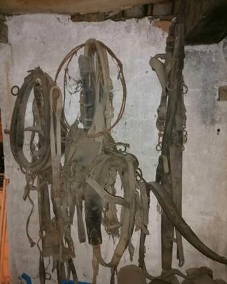 FINIMENTI VINTAGE PER CAVALLI