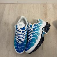Nike Air Max Plus one Block down light blu