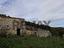 Immagine 7