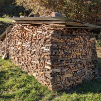 Legna acacia ciliegio da ardere