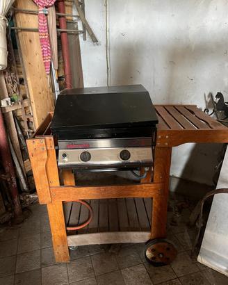 Grill da giardino