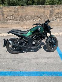 Benelli Leoncino 2022