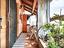 Immagine 13