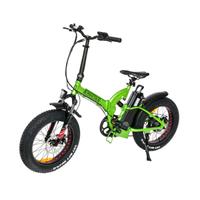 Fat bike biammortizzata