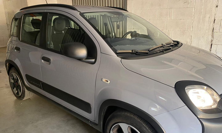 Fiat panda city cross