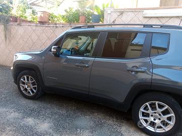 ricambi per geep Renegade 