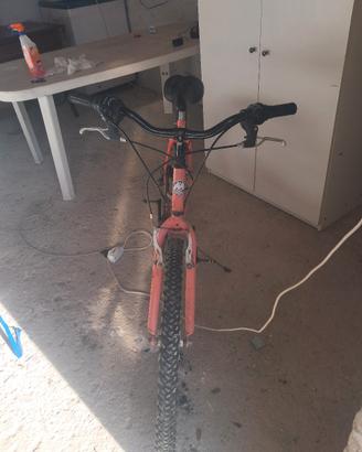 biciclette