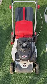 Tagliaerva Sterwins con motore Honda GCV160