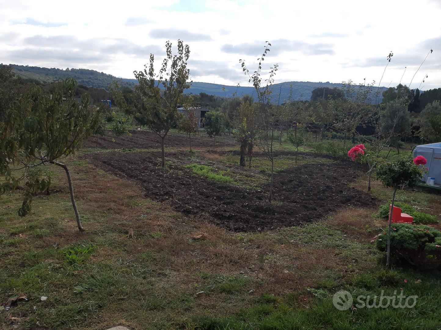 Terreno con frutteto - Vista 4