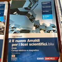 Libro di fisica Il nuovo Amaldi 4 anno liceo scien