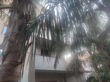 Appartamento da completare in area residenziale