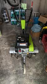 Motozappa grillo