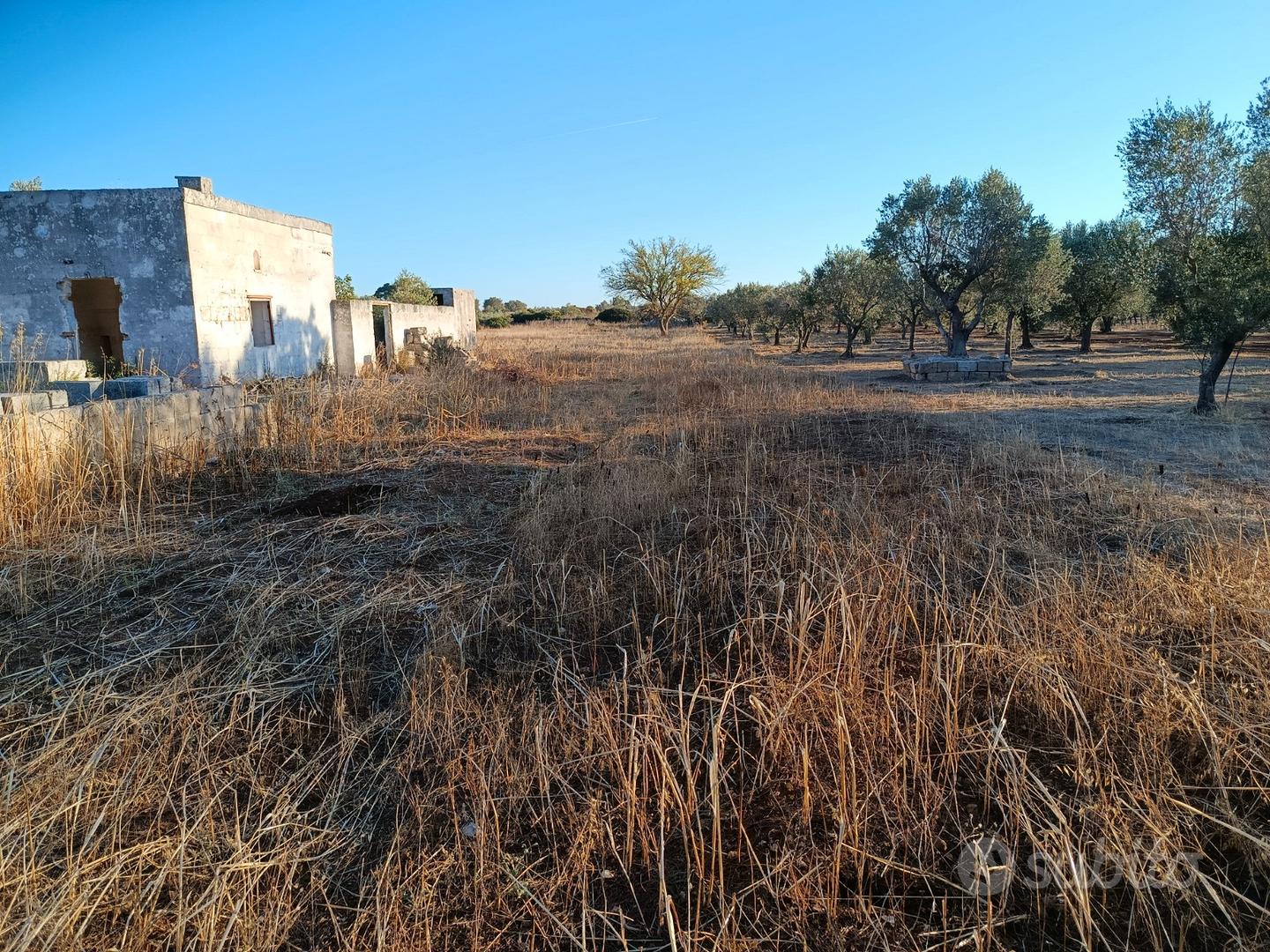 Terreno agricolo di 2.000 mq in Oria - Vista 2