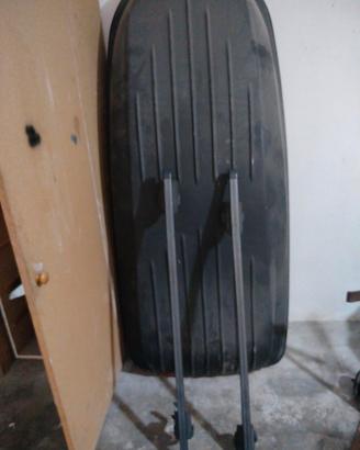 porta pacchi auto