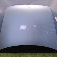 COFANO ANTERIORE VOLKSWAGEN Polo 5Â° Serie 6R08230