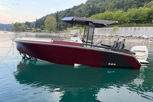 BMA 222  con EVINRUDE E-Tec 250 PARI AL NUOVO
