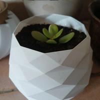 Vaso il plastica bianco