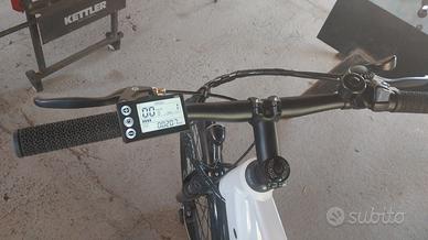 bici ettriche