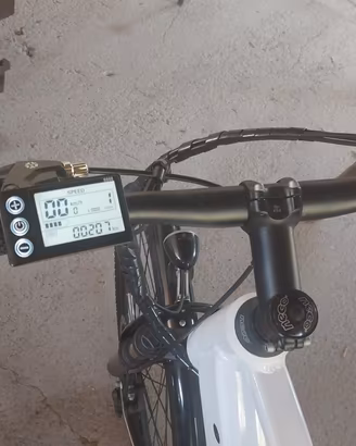 bici ettriche