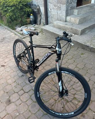 bicicletta 