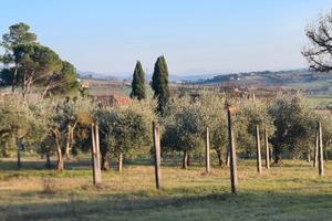 Terreno edificabile vicino Pila Perugia